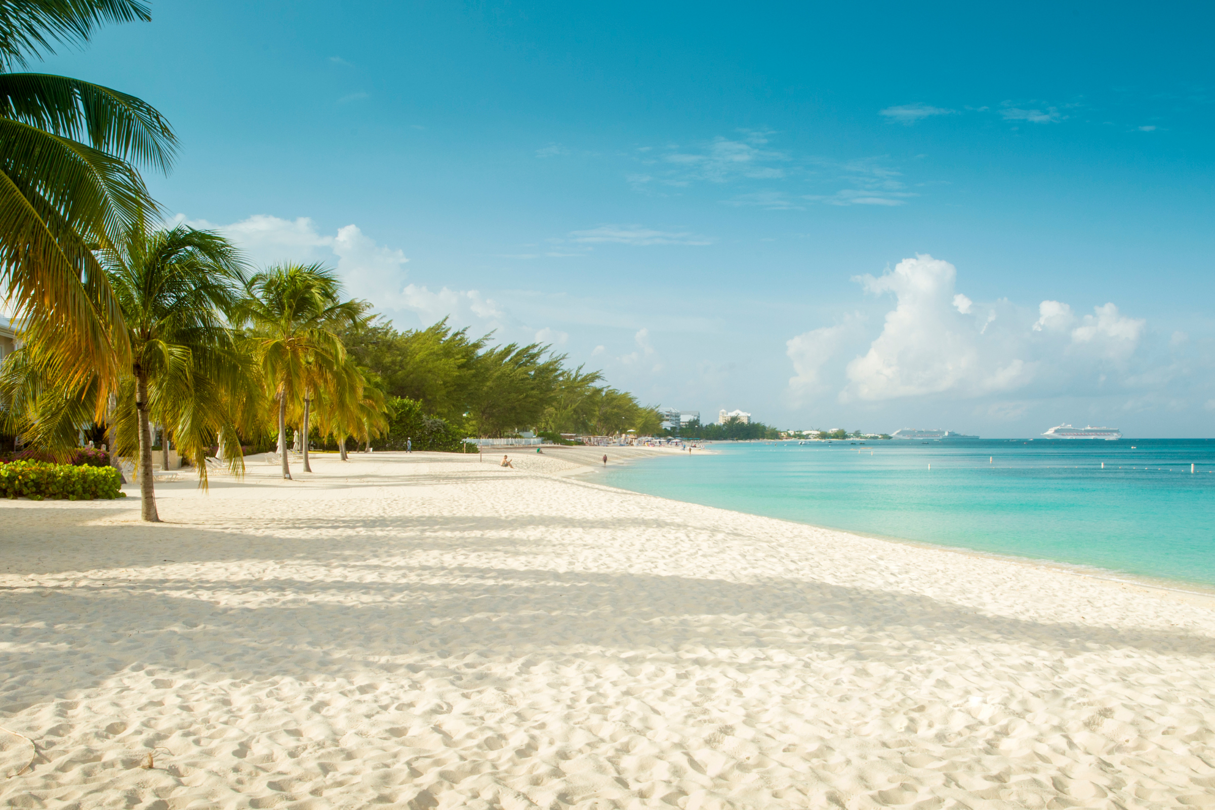 pulau asok.webp